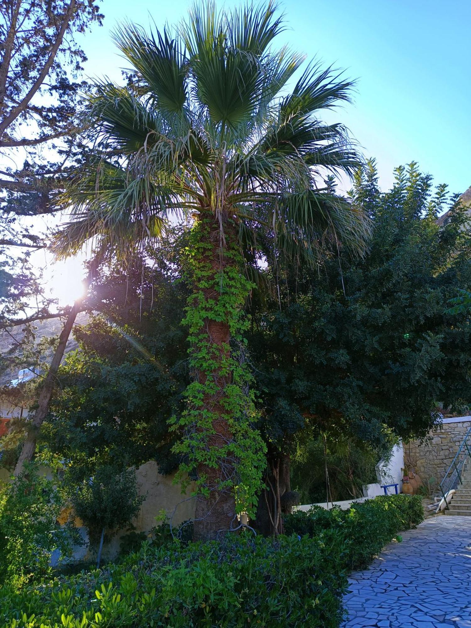 Pension Romantika Matala  Exterior photo